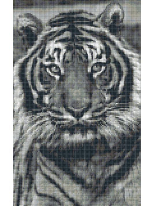 Pixel szett 8 normál alaplappal, színekkel, tigris (808086)