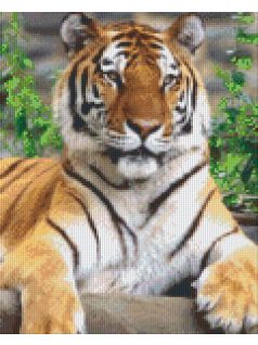 Pixel szett 9 normál alaplappal, színekkel, tigris