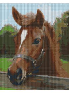 Pixel szett 9 normál alaplappal, színekkel, ló