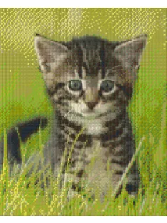 Pixel szett 9 normál alaplappal, színekkel, cica
