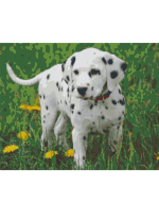 Pixel szett 9 normál alaplappal, színekkel, kutya, dalmata