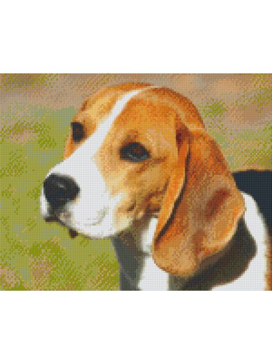 Pixel szett 9 normál alaplappal, színekkel, kutya, beagle