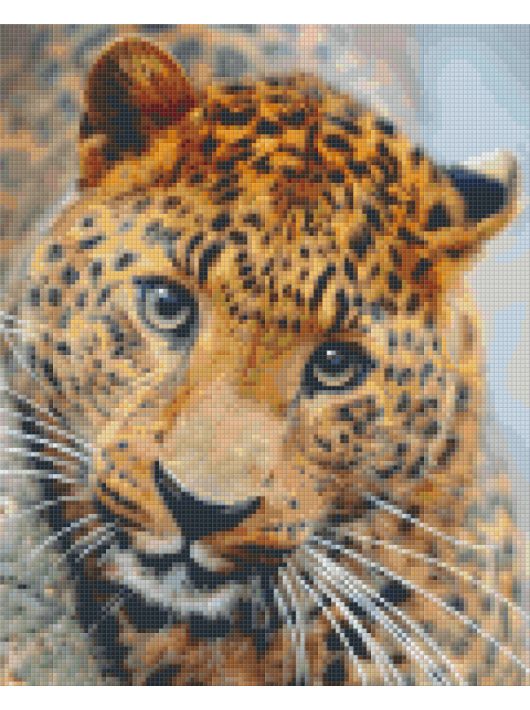 Pixel szett 9 normál alaplappal, színekkel, leopárd