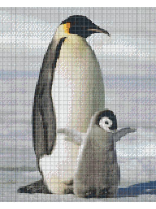 Pixel szett 9 normál alaplappal, színekkel, pingvinek