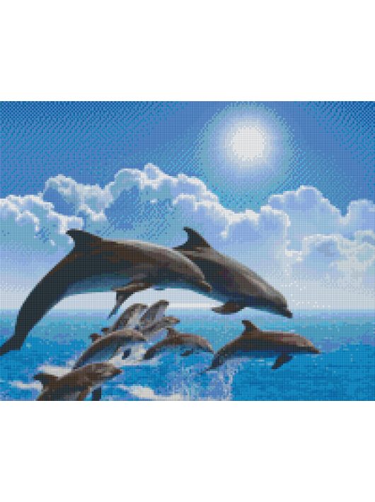 Pixel szett 16 normál alaplappal, színekkel, delfinek
