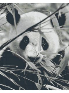 Pixel szett 36 normál alaplappal, színekkel, panda