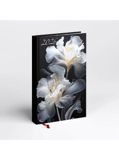   Realsystem határidőnapló, A/5, napi tervező, 2026, Picture írisz