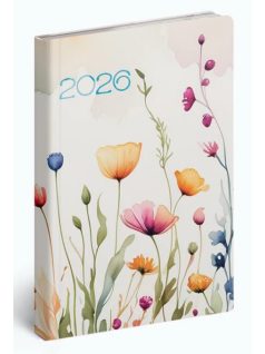   Realsystem határidőnapló, B/6, heti tervező, 2026, Fiestina Light akvarell