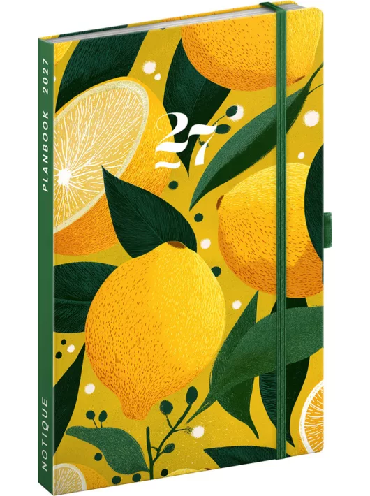 Realsystem design agenda, határidőnapló, 13x21cm, heti tervező, 2027, Lemons