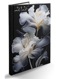   Realsystem határidőnapló, B/5, heti tervező, 2026, Picture írisz