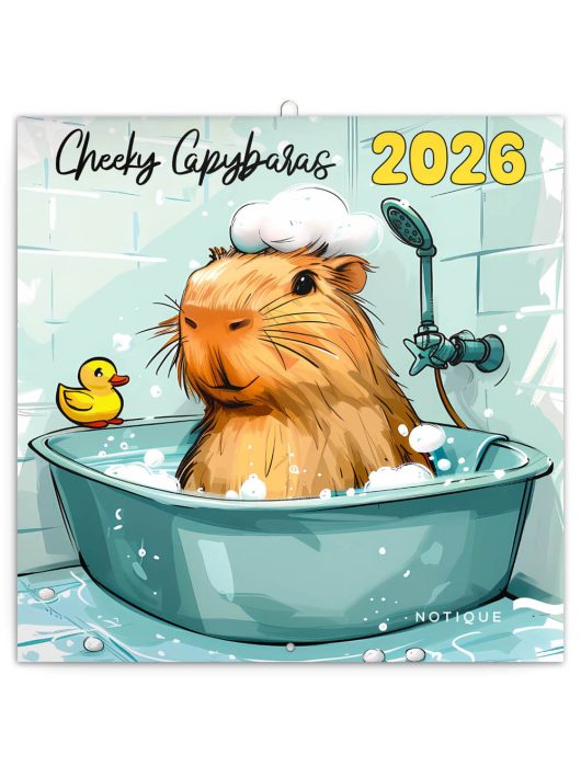 Falinaptár, lemeznaptár, 30x30 cm, 2026, Cheeky Capybaras