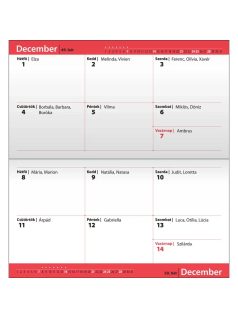   Realsystem zsebnaptár, álló, kétheti, 8x15cm, 2026, zsebirka fraktál