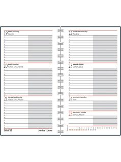   Realsystem zsebnaptár, álló, heti, 9,5x17cm, spirál, 2026, SP2 japán