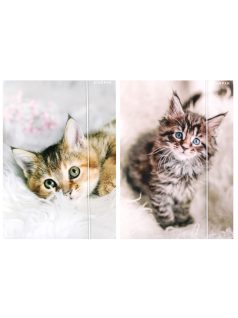 Cicás gumis mappa A/4, Starpak, kétféle (559717)