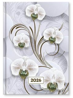   Vectraline határidőnapló A/5, napi tervező, 2026, Mystic White princess