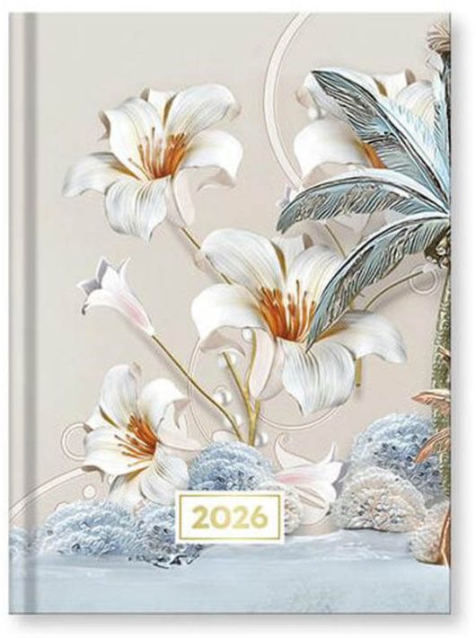 Vectraline határidőnapló B/6, napi tervező, 2026, Spirit Sp-01