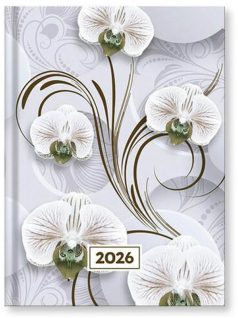   Vectraline határidőnapló B/6, napi tervező, 2026, Mystic White princess