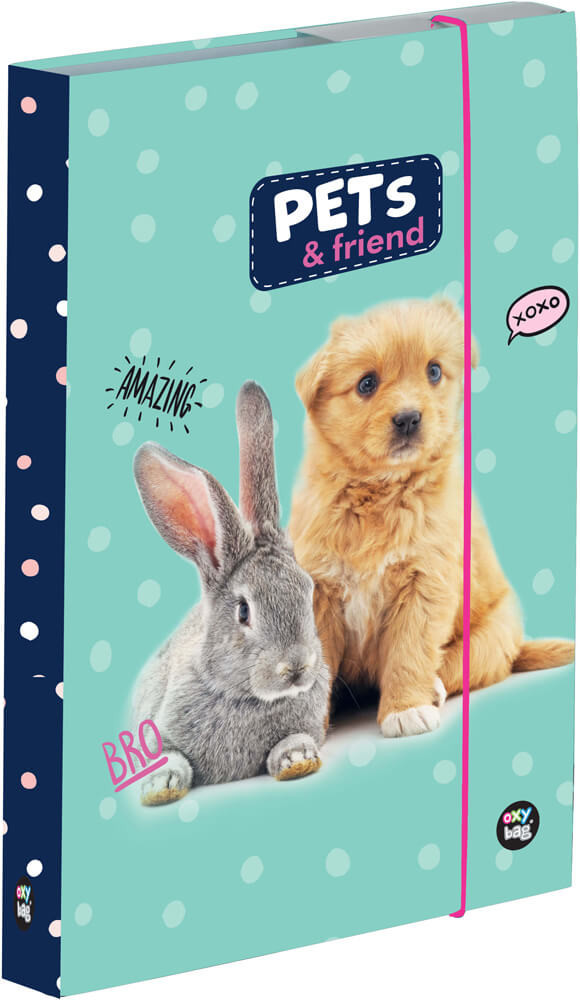Image of Állatos füzetbox A/4, Pets &amp; friend, nyuszi és kutya