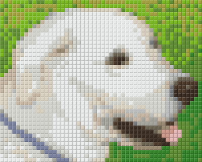 Image of Pixel szett 1 normál alaplappal, színekkel, kutya, labrador (801303)