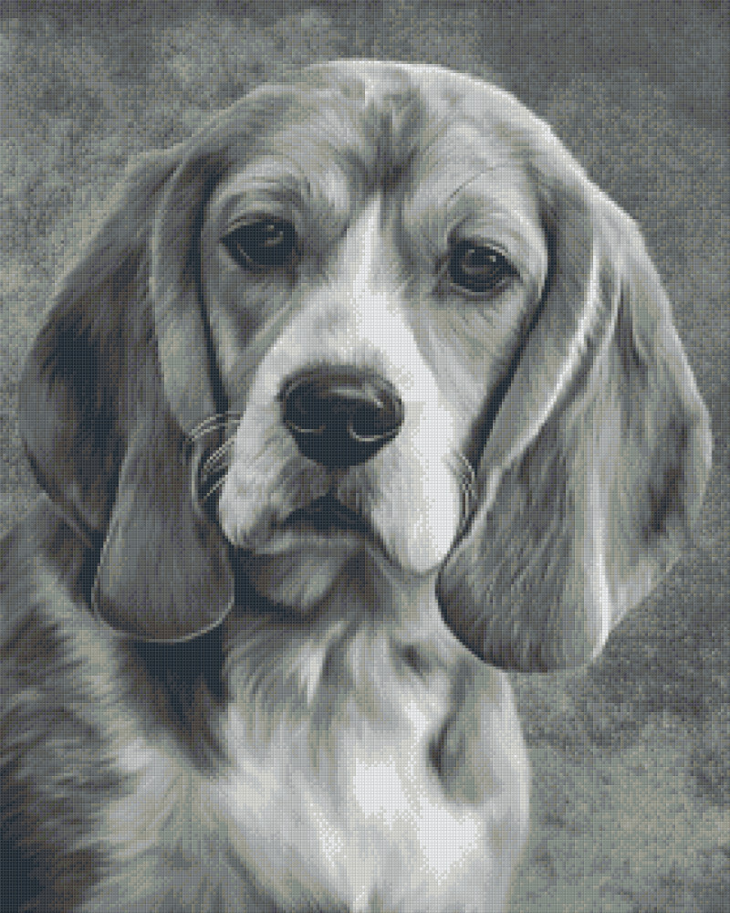 Image of Pixel szett 36 normál alaplappal, színekkel, kutya, basset hound (836025)